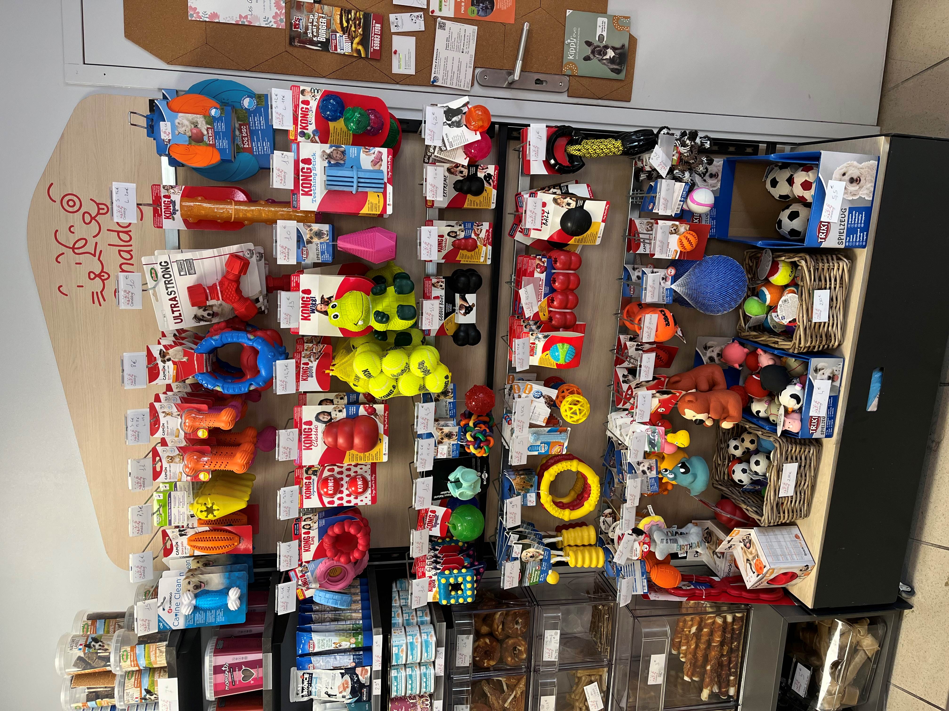 Trouvez tout ce que vous voulez ! Magasin Canaldog Montchat