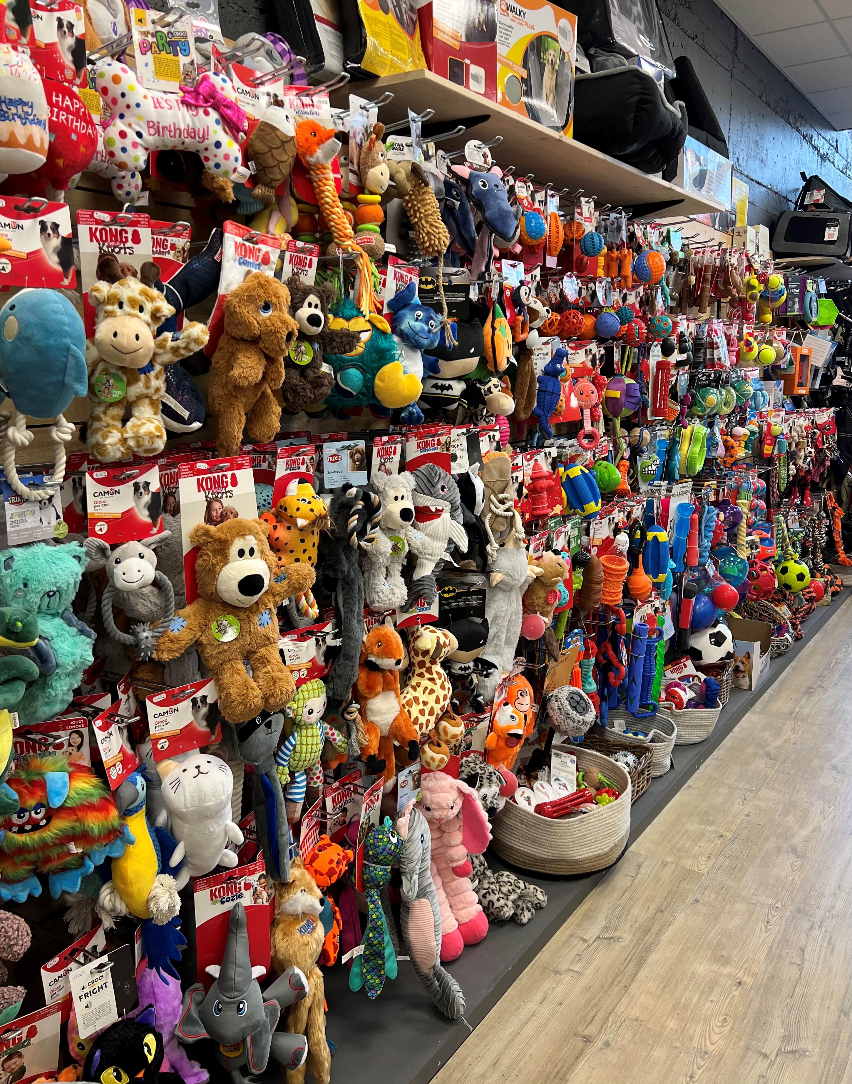 Trouvez tout ce que vous voulez ! Magasin Canaldog L'arbresle