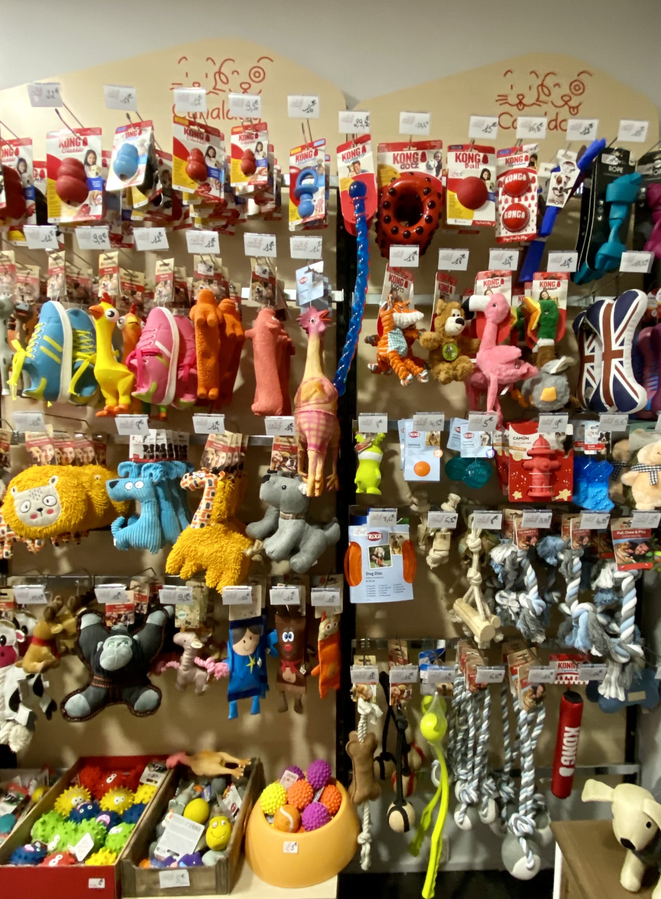 Trouvez tout ce que vous voulez ! Magasin Canaldog Croix-Rousse