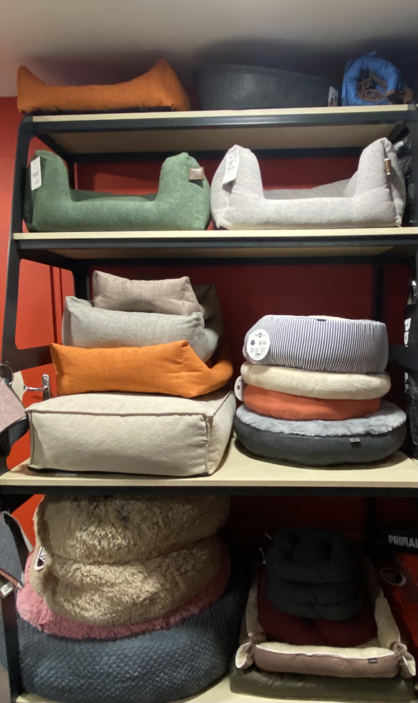 Trouvez tout ce que vous voulez ! Magasin Canaldog Croix-Rousse