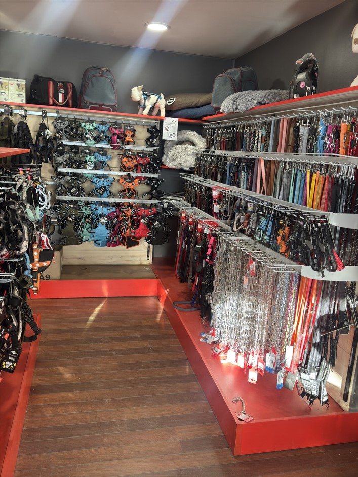 Trouvez tout ce que vous voulez ! Magasin Canaldog Brindas