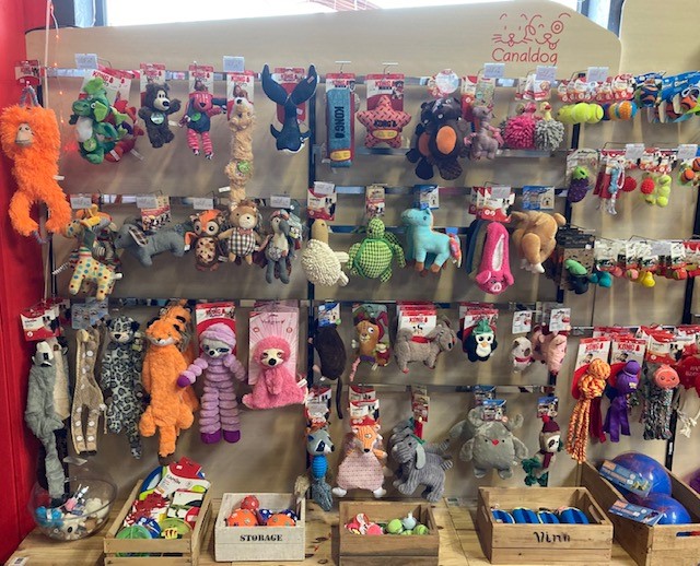 Trouvez tout ce que vous voulez ! Magasin Canaldog Anse