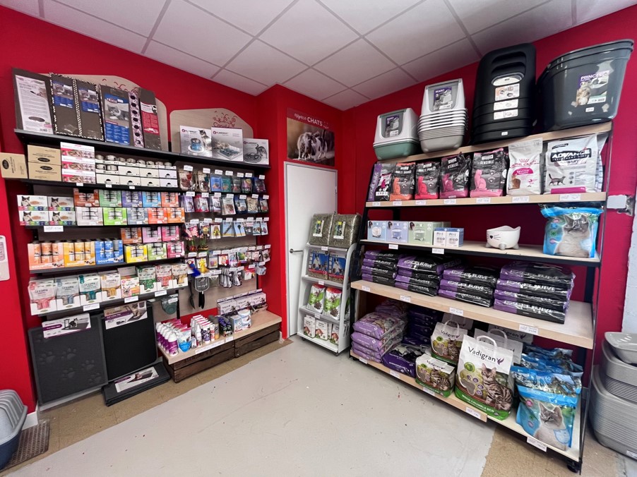 Trouvez tout ce que vous voulez ! Magasin Canaldog Vaise