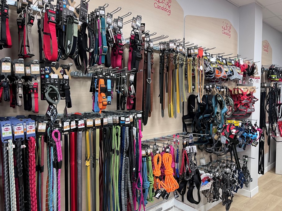 Trouvez tout ce que vous voulez ! Magasin Canaldog Vaise