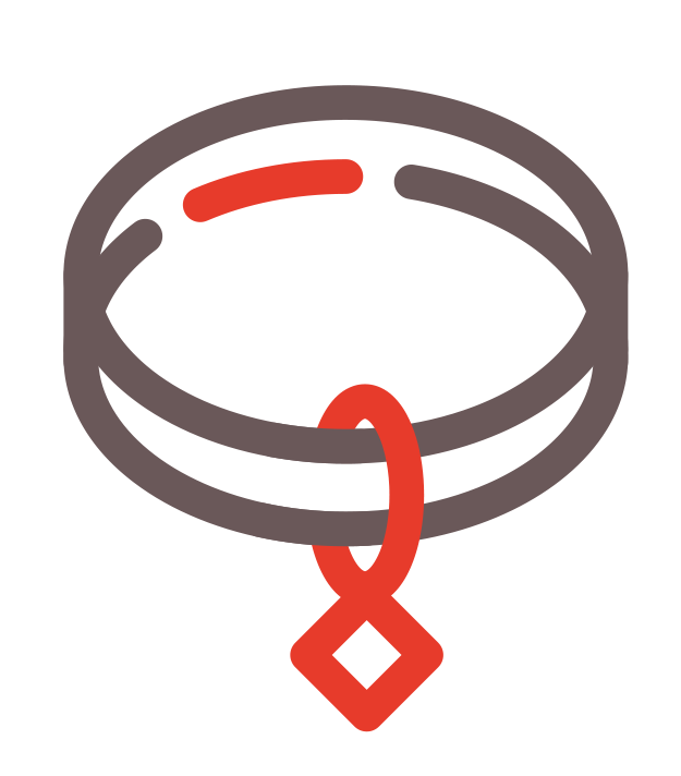 Médailles pour chiens et chats personnalisables